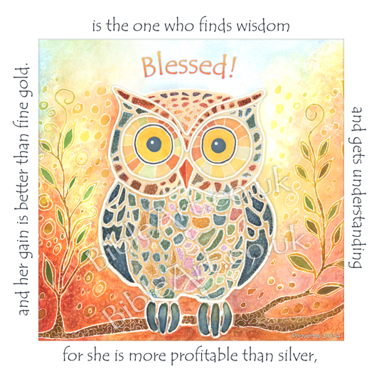 Blessed is the one who gains wisdom and understanding (Owl) Coaster